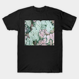 Leaf pattern T-Shirt